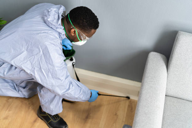 Best Pest Control for Multi-Family Homes  in Sun City, AZ